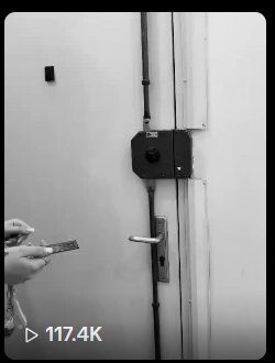 Clip viral 117K vizualizări